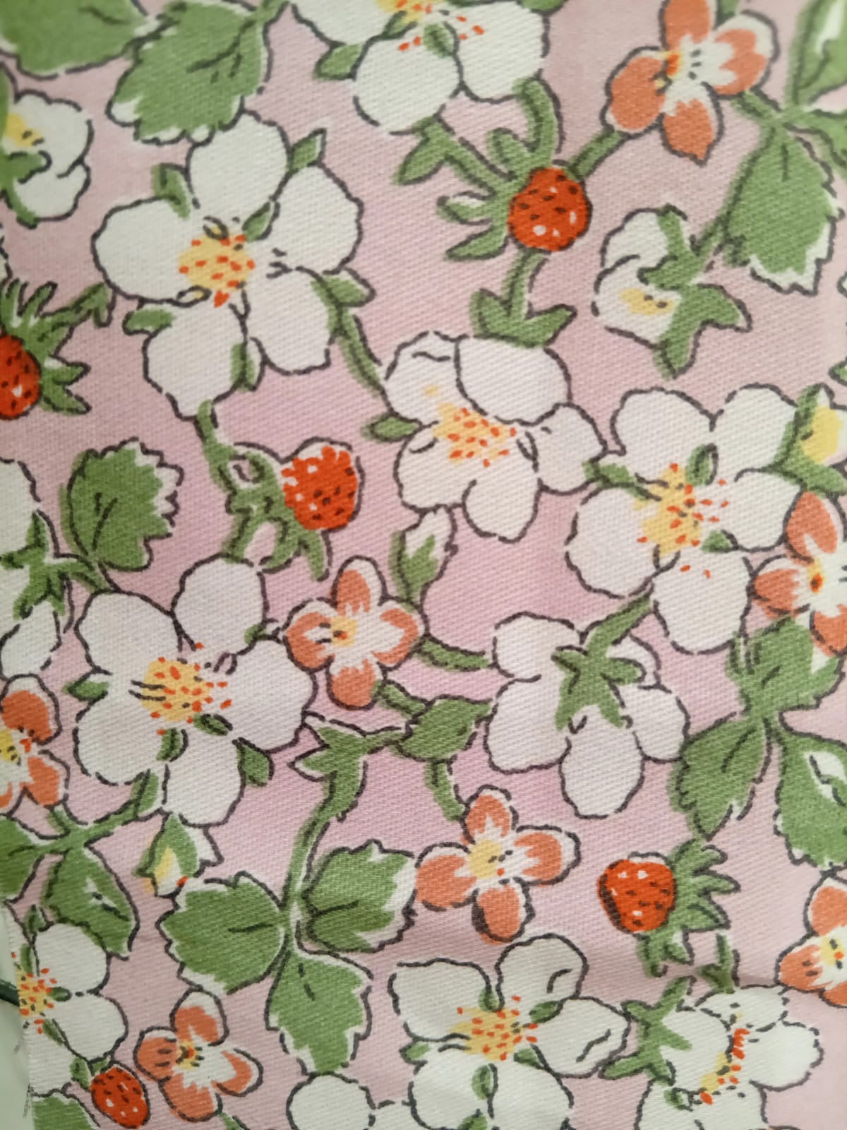 Beauty Bag Strawberry Garden