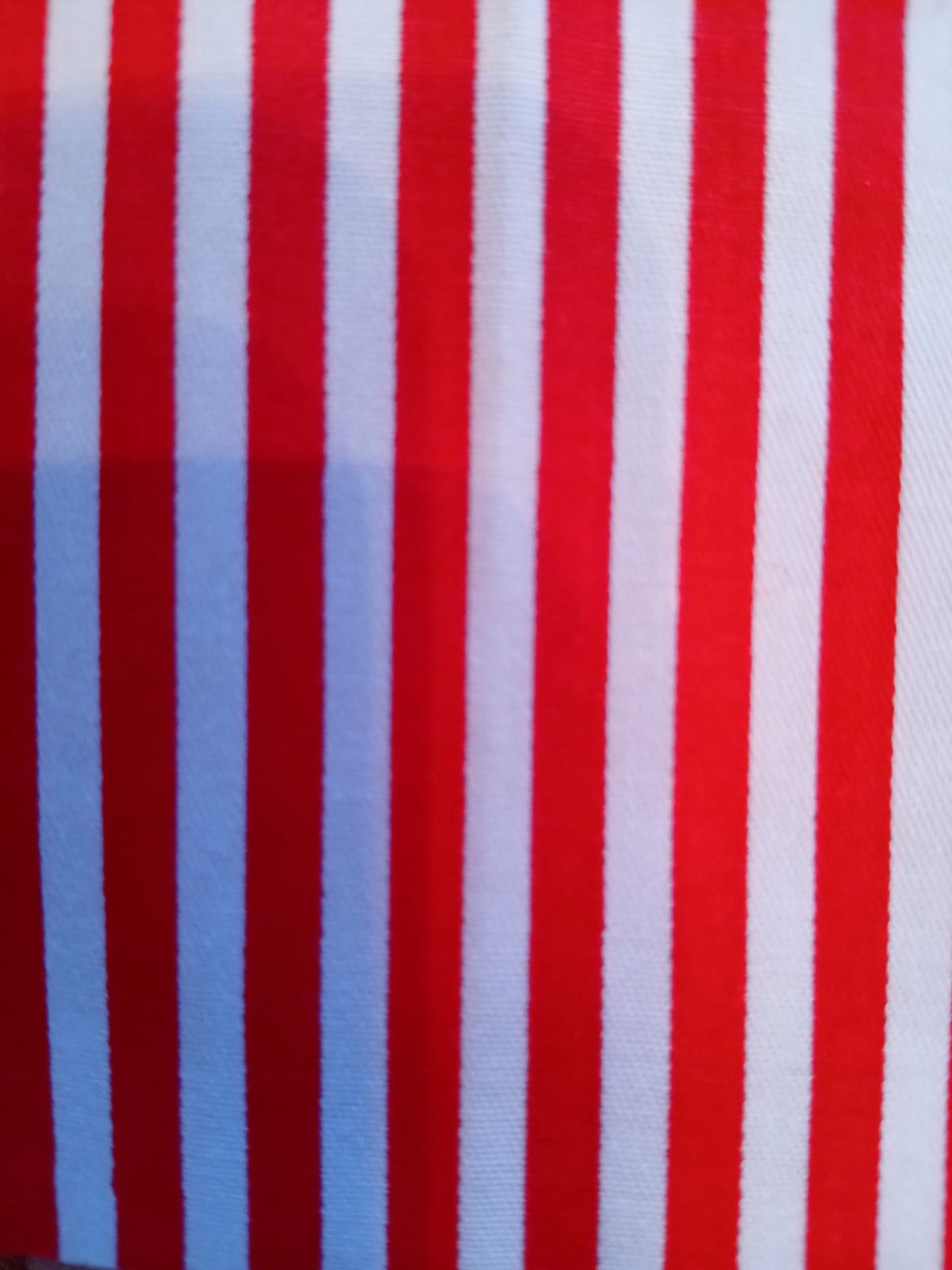 Beauty Bag Strawberry Garden