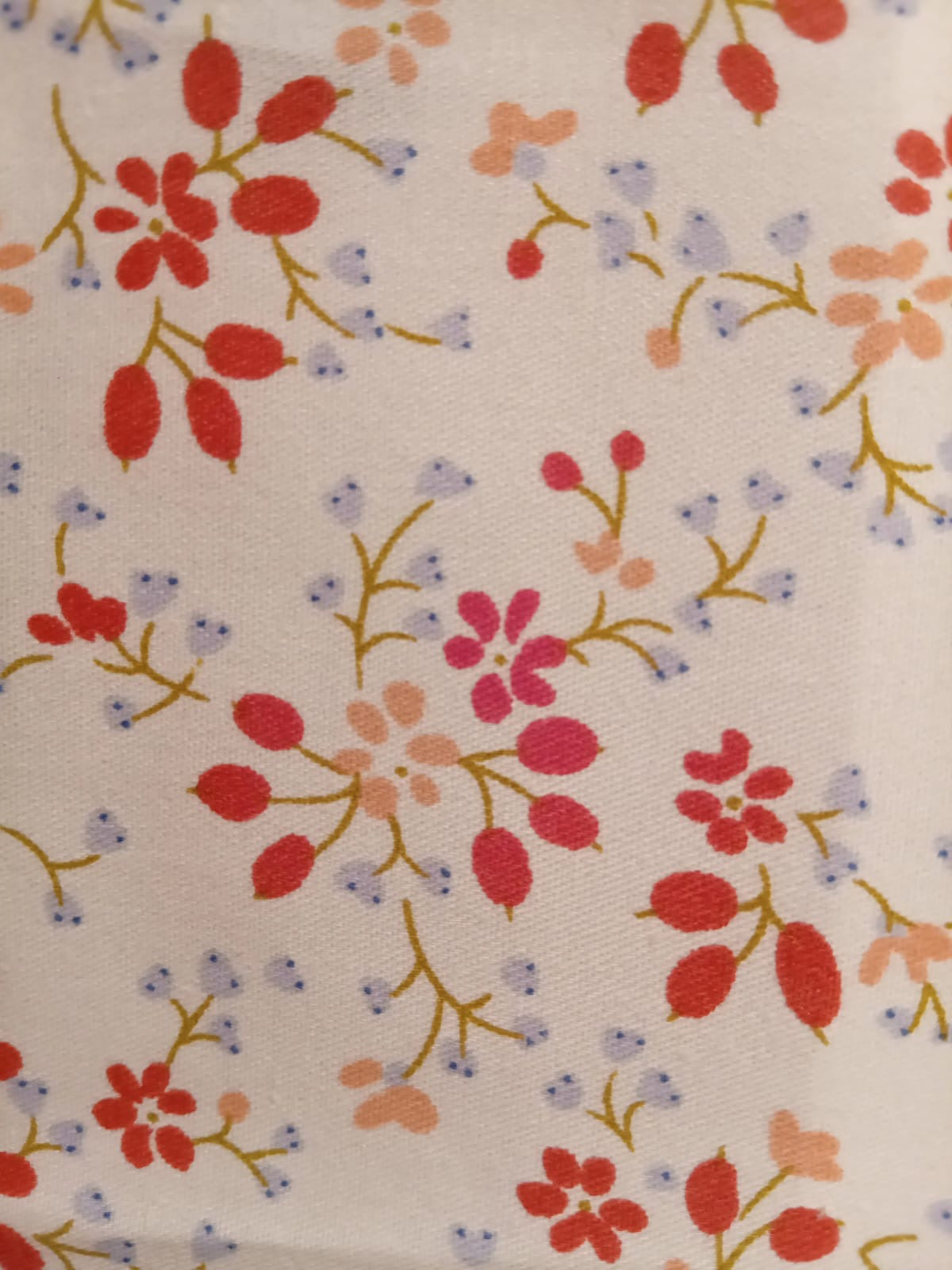 Beauty Bag Strawberry Garden