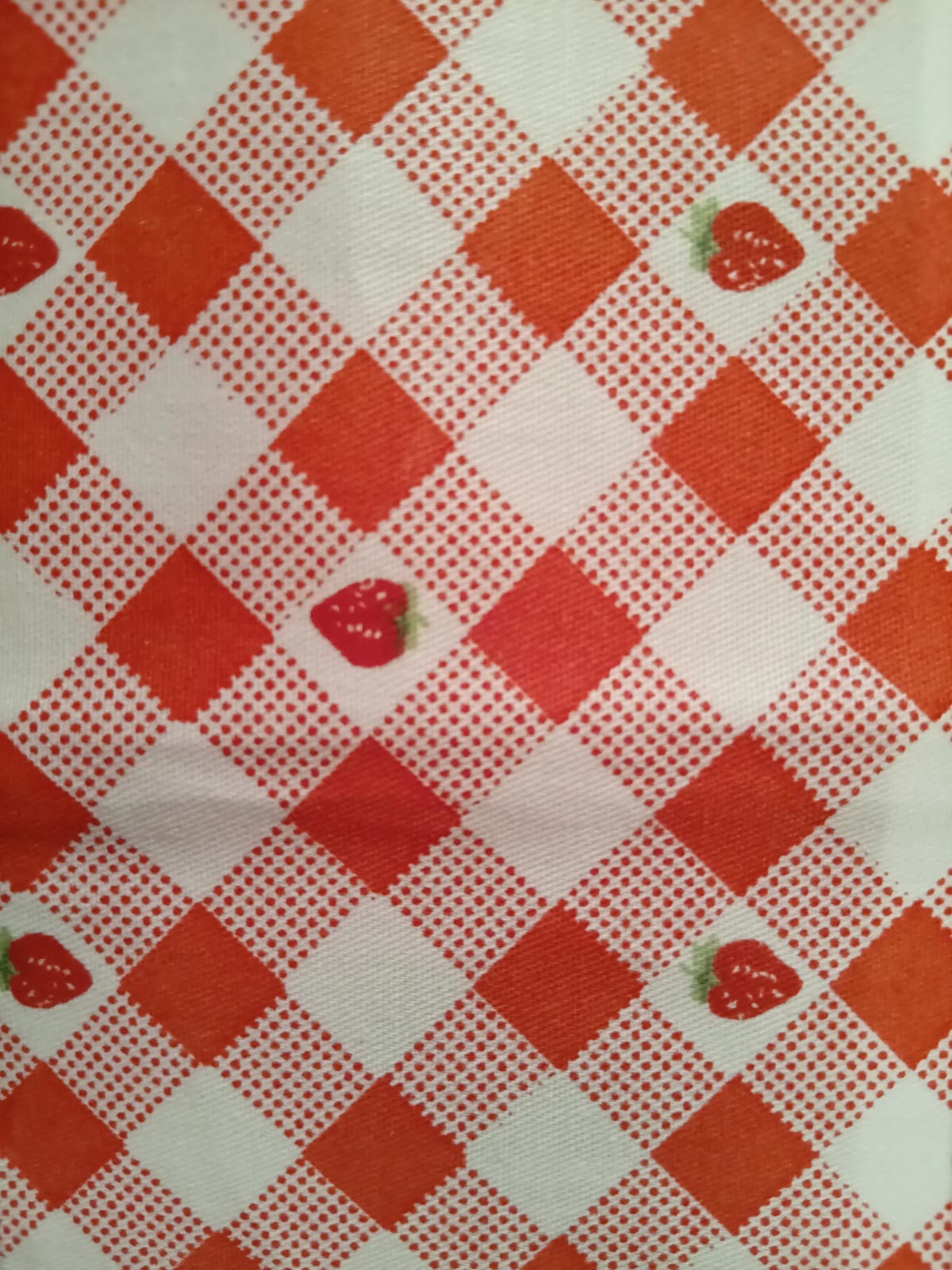 Beauty Bag Strawberry Garden